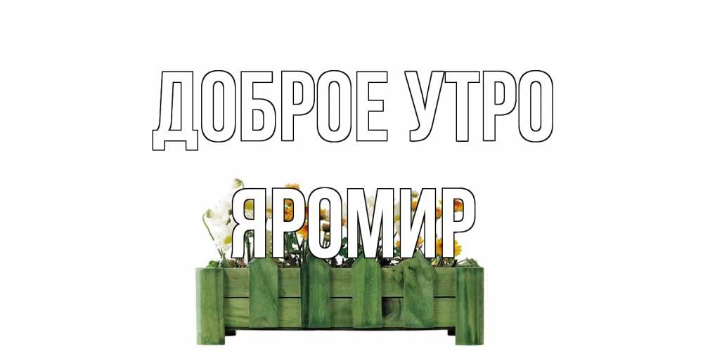 Открытка на каждый день с именем, Яромир Доброе утро цветы Прикольная открытка с пожеланием онлайн скачать бесплатно 