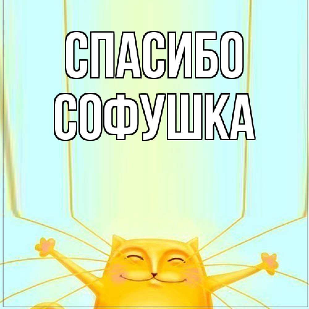 Открытка на каждый день с именем, Софушка Спасибо кот с усами благодарит Прикольная открытка с пожеланием онлайн скачать бесплатно 