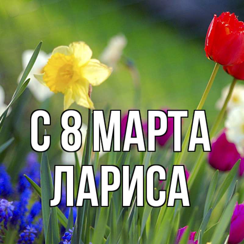 Картинка C 8 МАРТА, Лариса