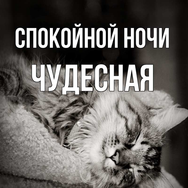 Картинка Спокойной ночи, Чудесная