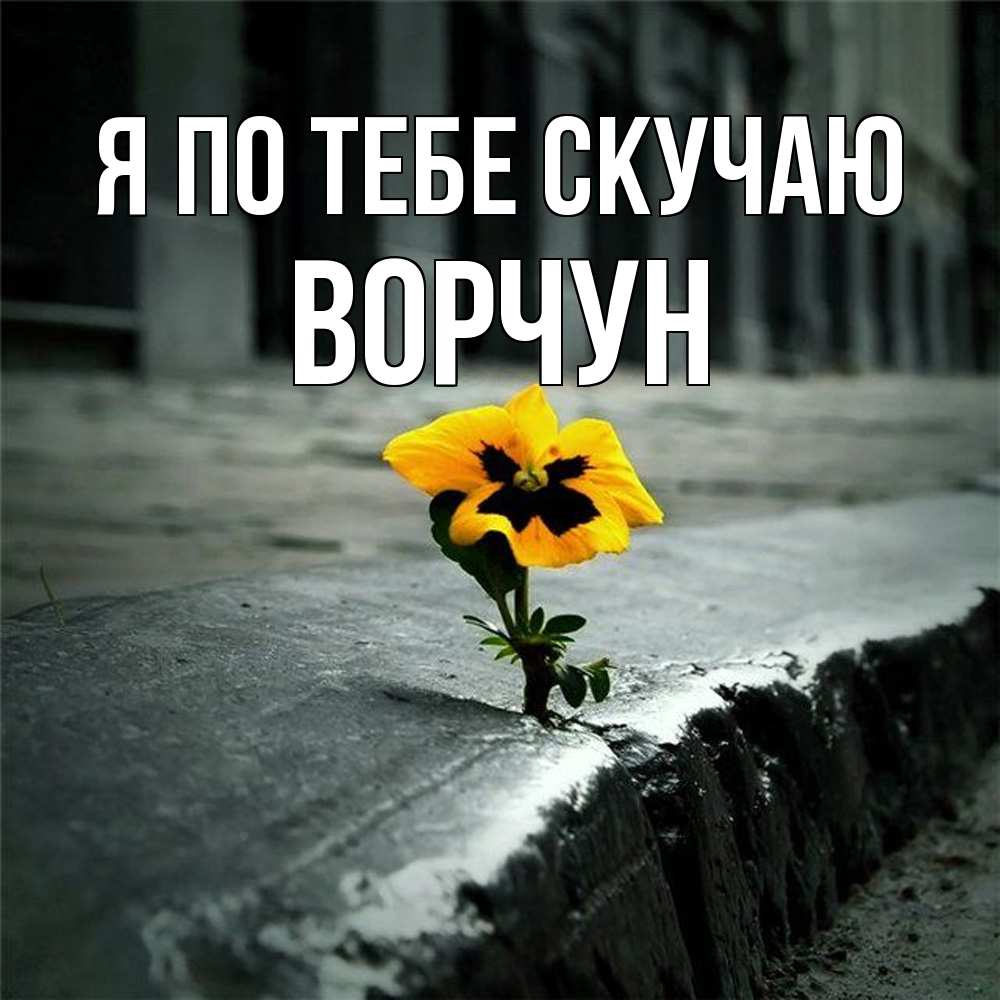 Открытка на каждый день с именем, Ворчун Я по тебе скучаю надеюсь будет лучше Прикольная открытка с пожеланием онлайн скачать бесплатно 
