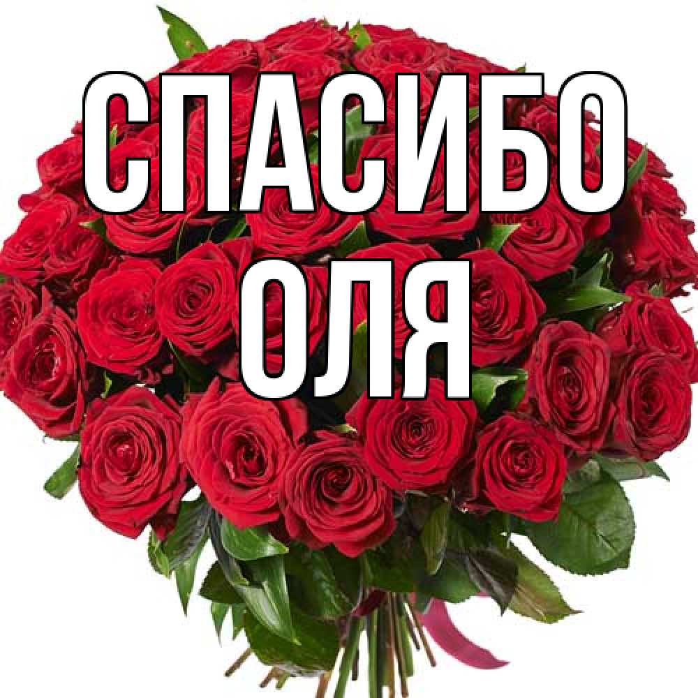 Открытка на каждый день с именем, Оля Спасибо букет красных роз Прикольная открытка с пожеланием онлайн скачать бесплатно 