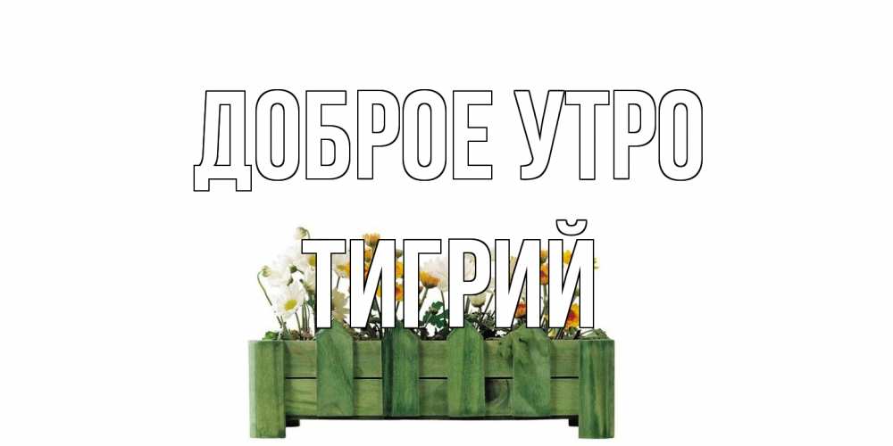 Открытка на каждый день с именем, Тигрий Доброе утро цветы Прикольная открытка с пожеланием онлайн скачать бесплатно 