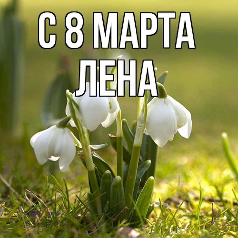 Картинка C 8 МАРТА, Лена