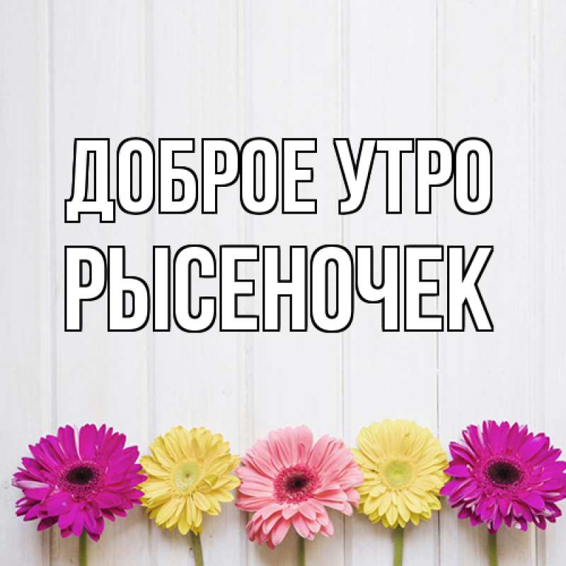 Картинка Доброе утро, Рысеночек