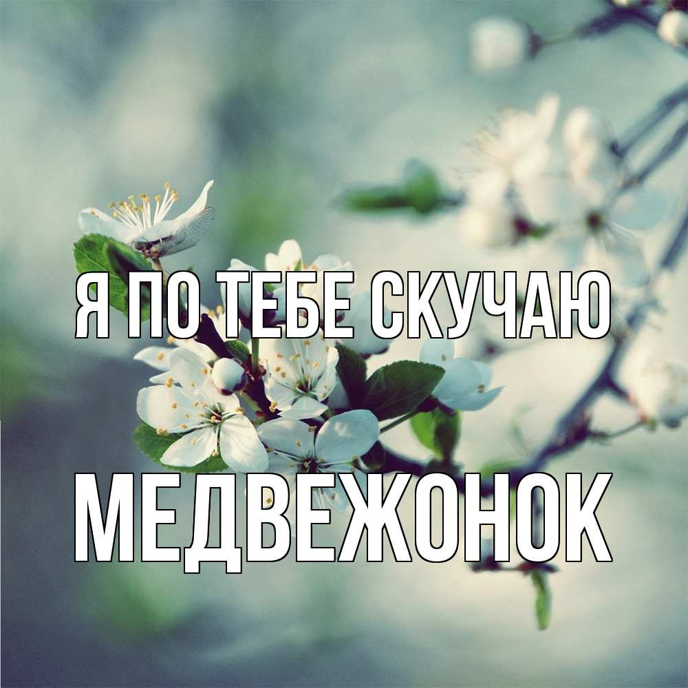 Открытка на каждый день с именем, медвежонок Я по тебе скучаю весна Прикольная открытка с пожеланием онлайн скачать бесплатно 