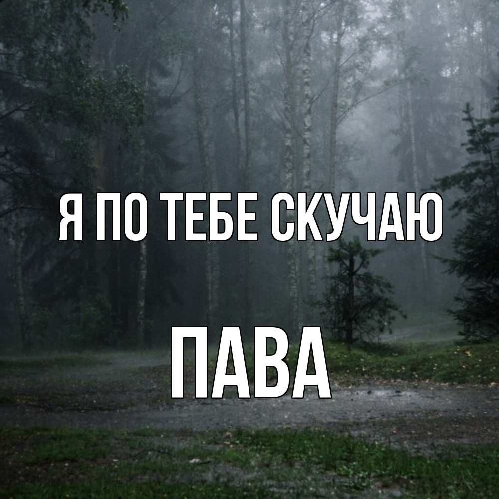 Открытка на каждый день с именем, пава Я по тебе скучаю одна и плохо мне Прикольная открытка с пожеланием онлайн скачать бесплатно 