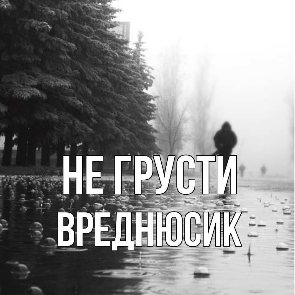 Открытка на каждый день с именем, Вреднюсик Не грусти улица под дождем Прикольная открытка с пожеланием онлайн скачать бесплатно 
