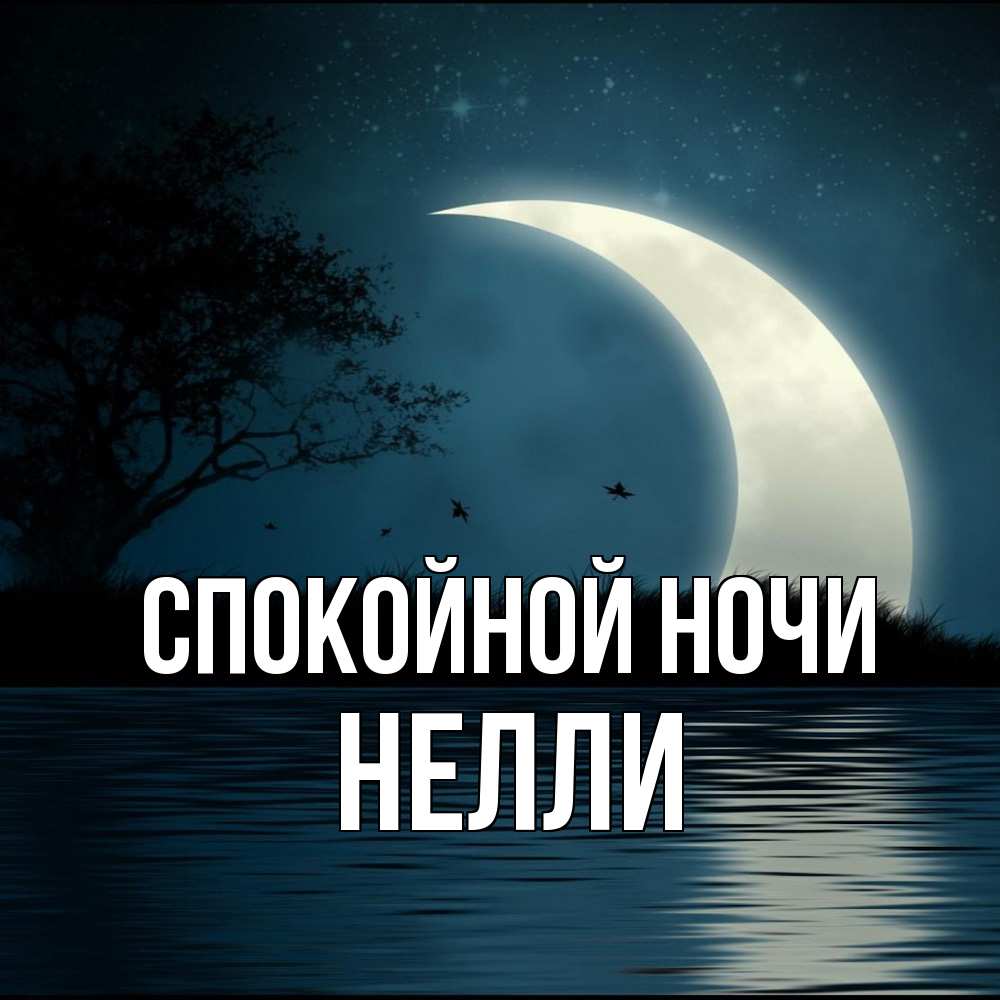 Открытка на каждый день с именем, Нелли Спокойной ночи вода Прикольная открытка с пожеланием онлайн скачать бесплатно 