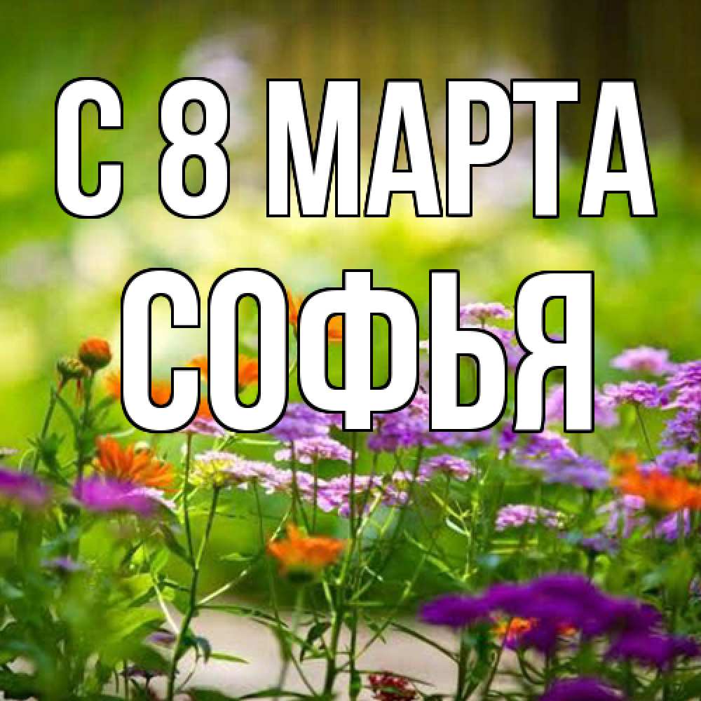 Открытка на каждый день с именем, Софья C 8 МАРТА цветы Прикольная открытка с пожеланием онлайн скачать бесплатно 