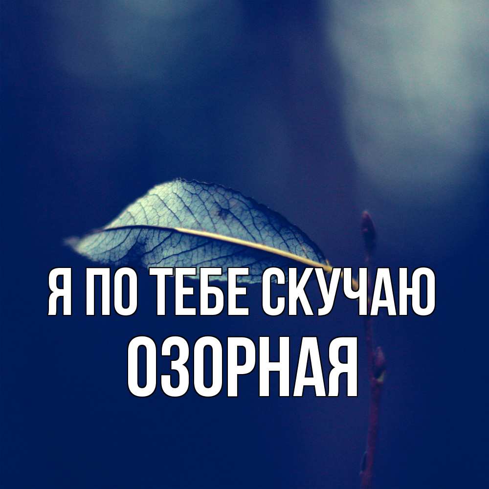 Открытка на каждый день с именем, Озорная Я по тебе скучаю одна ветка 1 Прикольная открытка с пожеланием онлайн скачать бесплатно 