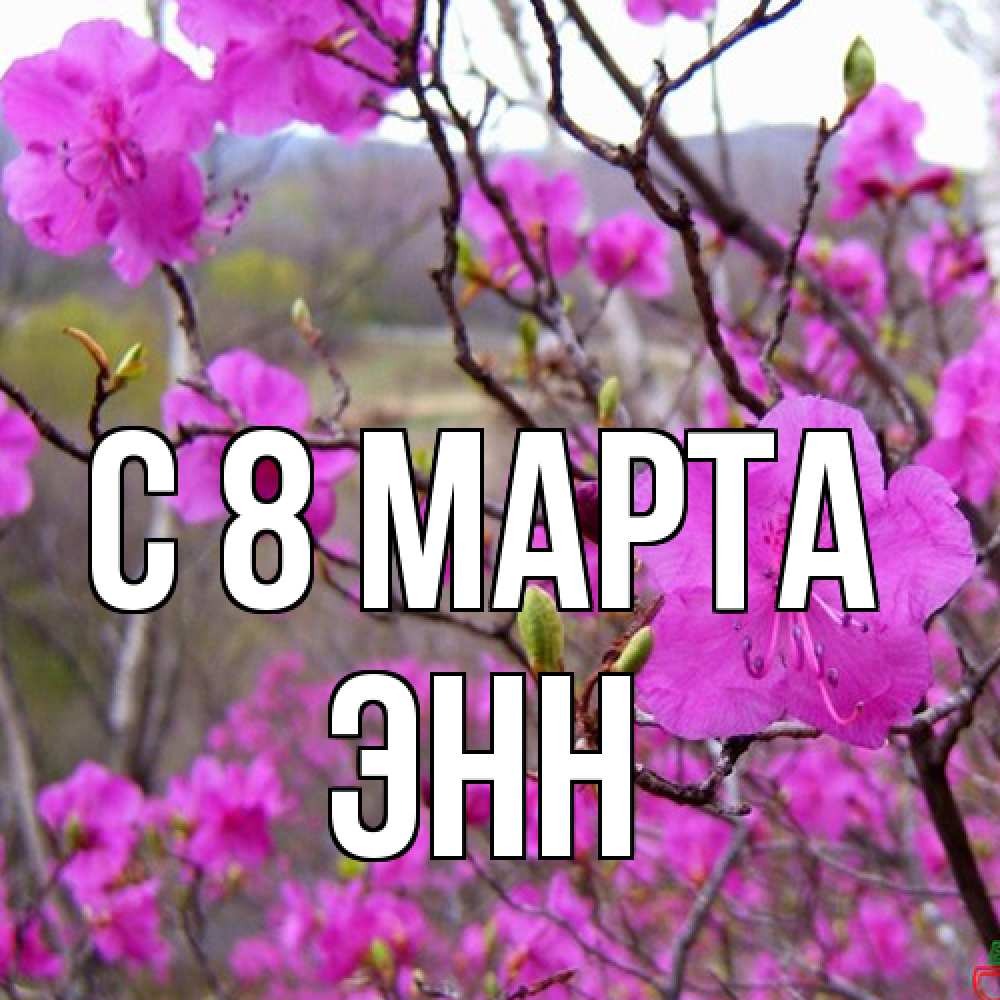 Открытка на каждый день с именем, Энн C 8 МАРТА международный женский день Прикольная открытка с пожеланием онлайн скачать бесплатно 