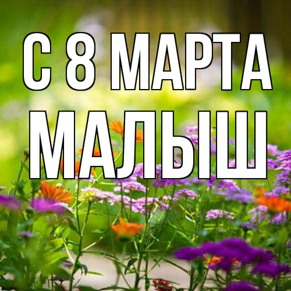 Открытка на каждый день с именем, Малыш C 8 МАРТА цветы Прикольная открытка с пожеланием онлайн скачать бесплатно 