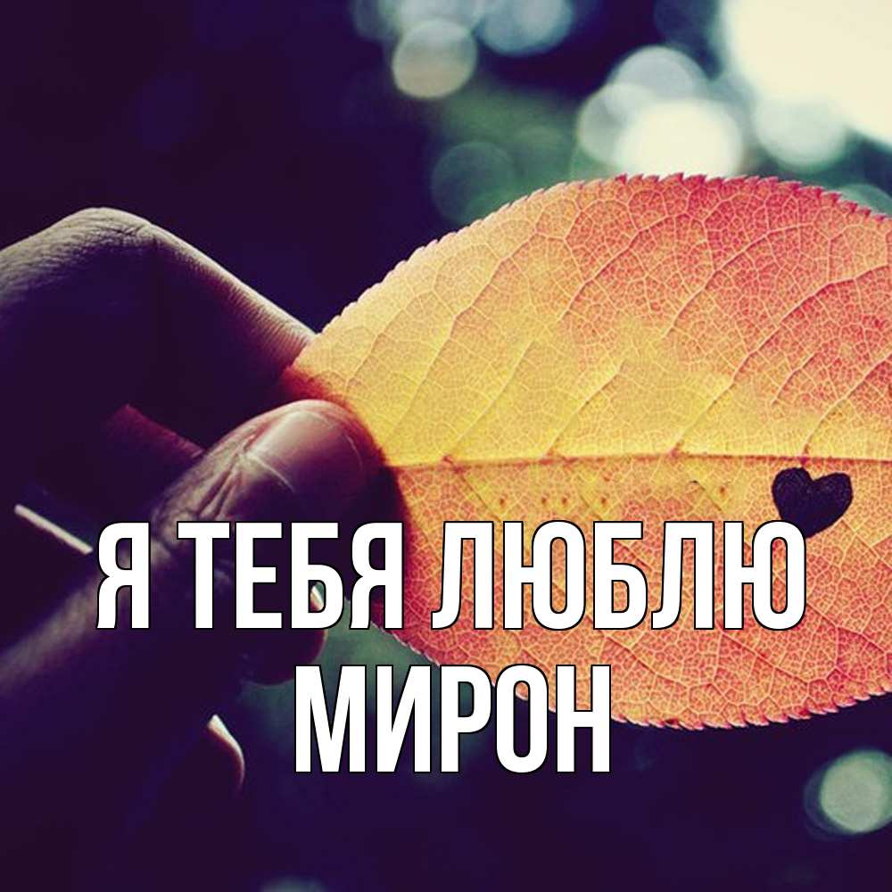Открытка на каждый день с именем, Мирон Я тебя люблю держу лист Прикольная открытка с пожеланием онлайн скачать бесплатно 