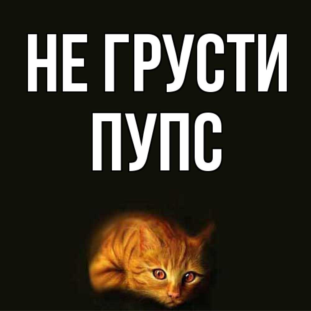 Открытка на каждый день с именем, Пупс Не грусти лежащий кот в темноте Прикольная открытка с пожеланием онлайн скачать бесплатно 