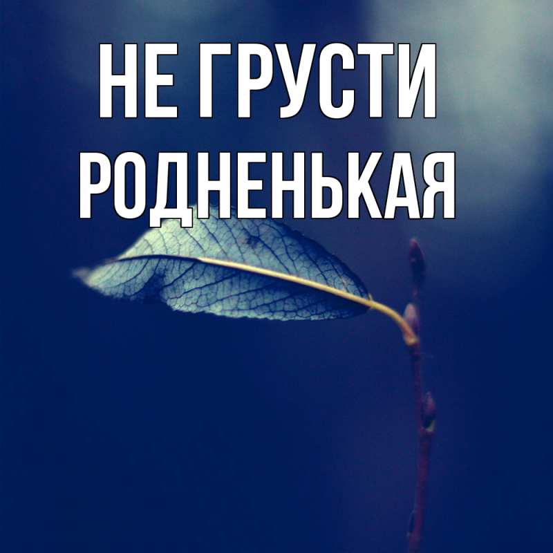 Картинка Не грусти, Родненькая