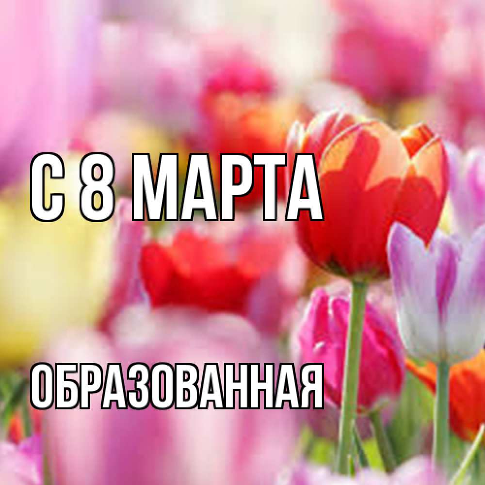 Открытка на каждый день с именем, Образованная C 8 МАРТА на международный женский день 2 Прикольная открытка с пожеланием онлайн скачать бесплатно 