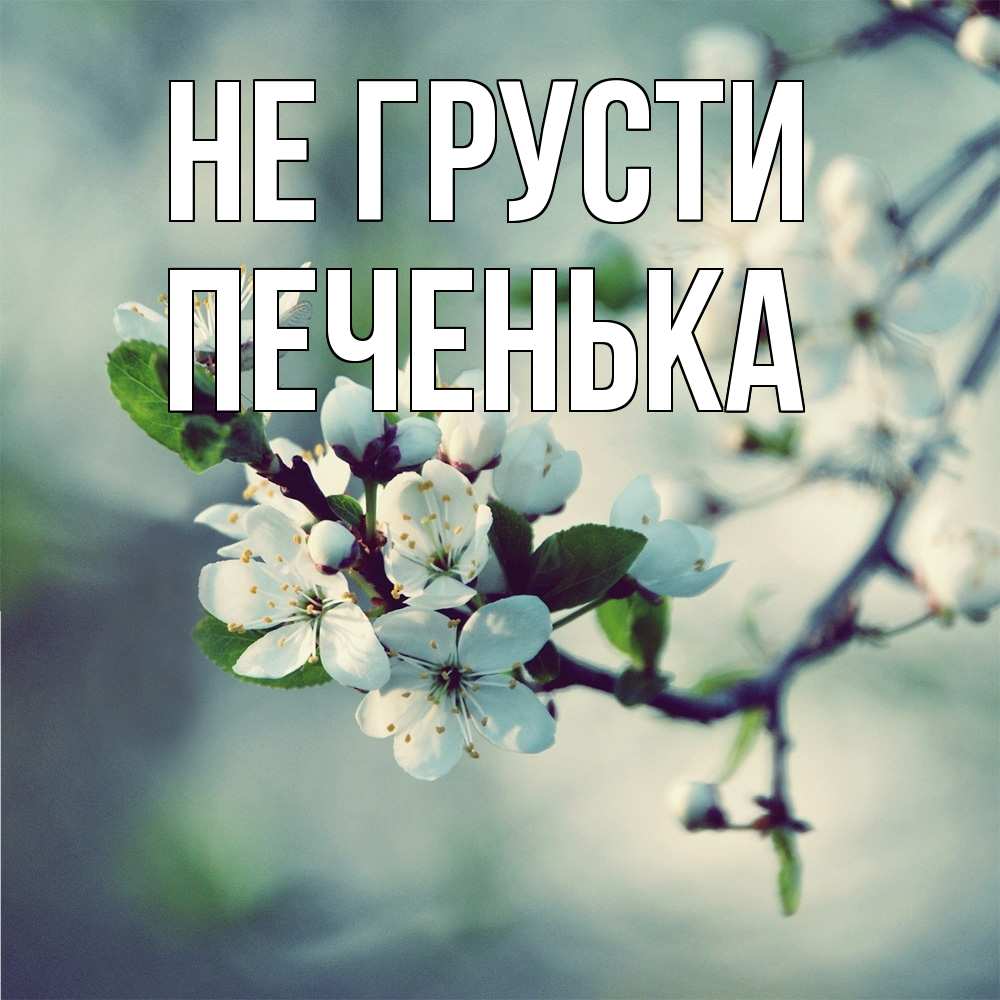 Открытка на каждый день с именем, Печенька Не грусти яблоня в цвету 1 Прикольная открытка с пожеланием онлайн скачать бесплатно 