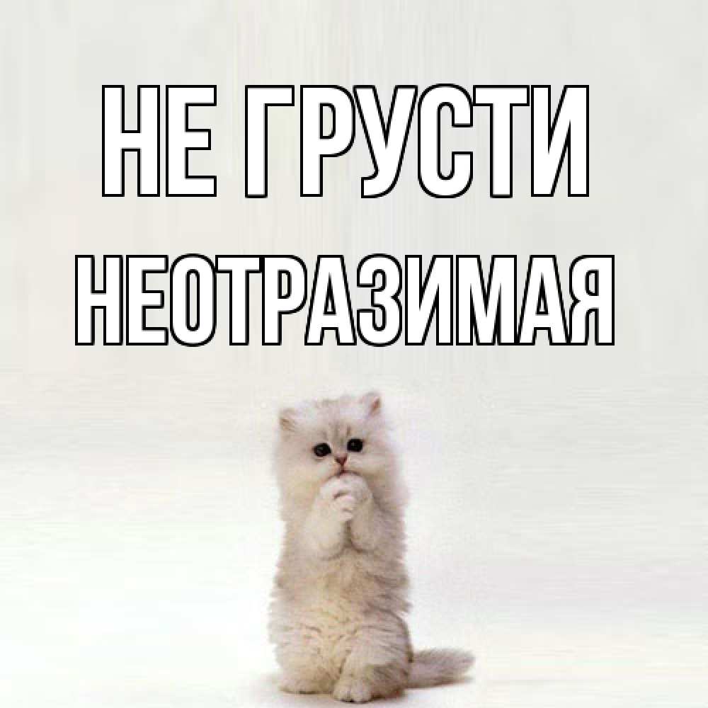 Открытка на каждый день с именем, неотразимая Не грусти грустный кот Прикольная открытка с пожеланием онлайн скачать бесплатно 