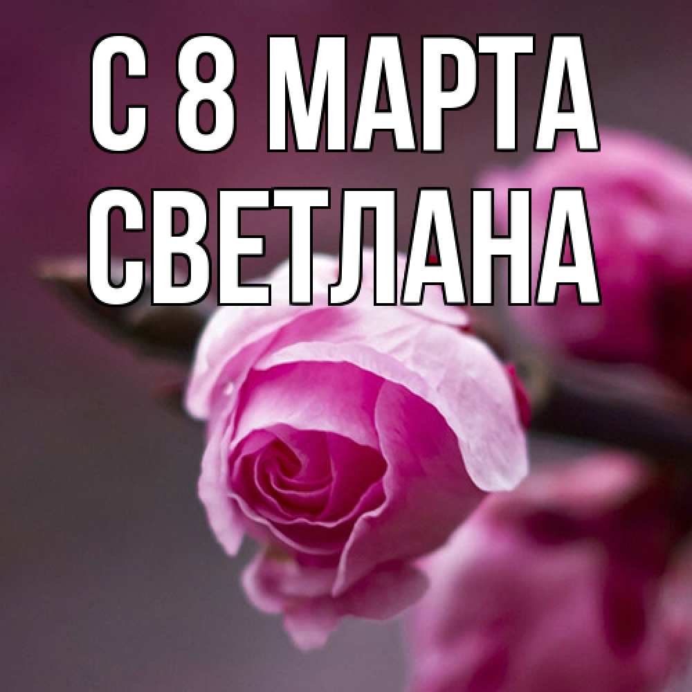 Открытка на каждый день с именем, Светлана C 8 МАРТА весна Прикольная открытка с пожеланием онлайн скачать бесплатно 