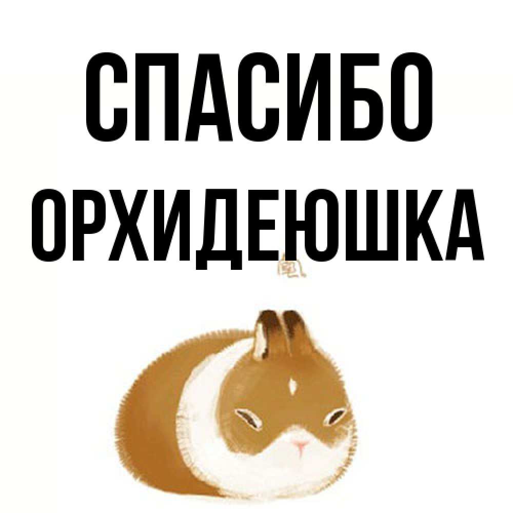 Открытка на каждый день с именем, Орхидеюшка Спасибо коричнево белый домашний питомец Прикольная открытка с пожеланием онлайн скачать бесплатно 