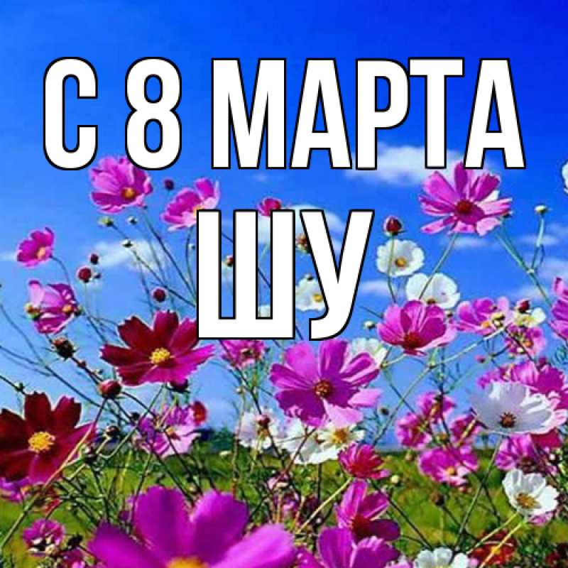 Картинка C 8 МАРТА, Шу