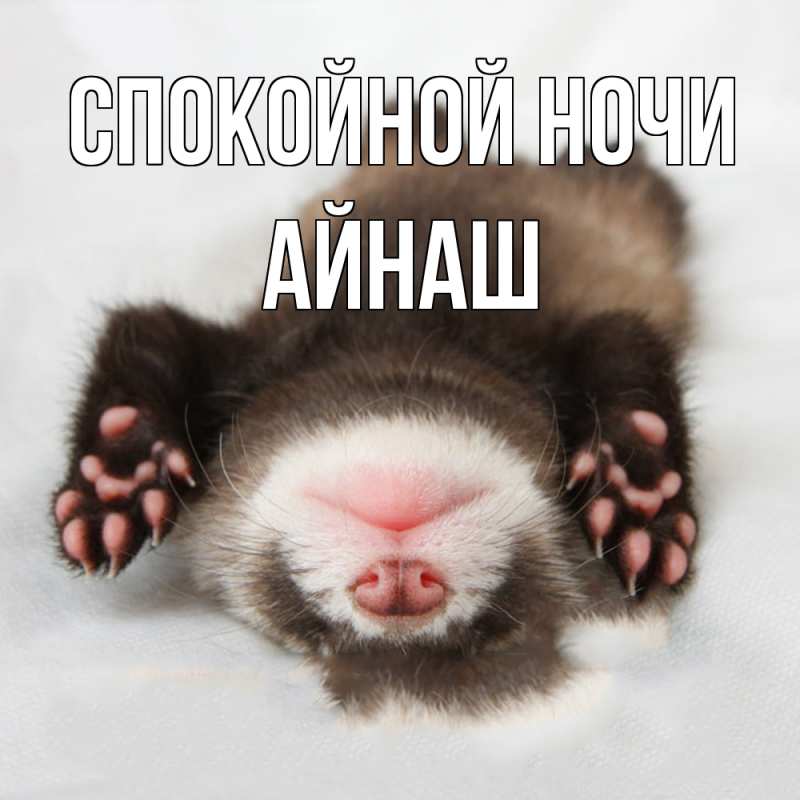 Картинка Спокойной ночи, Айнаш
