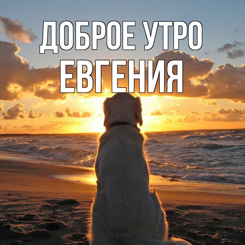 Картинка Доброе утро, Евгения