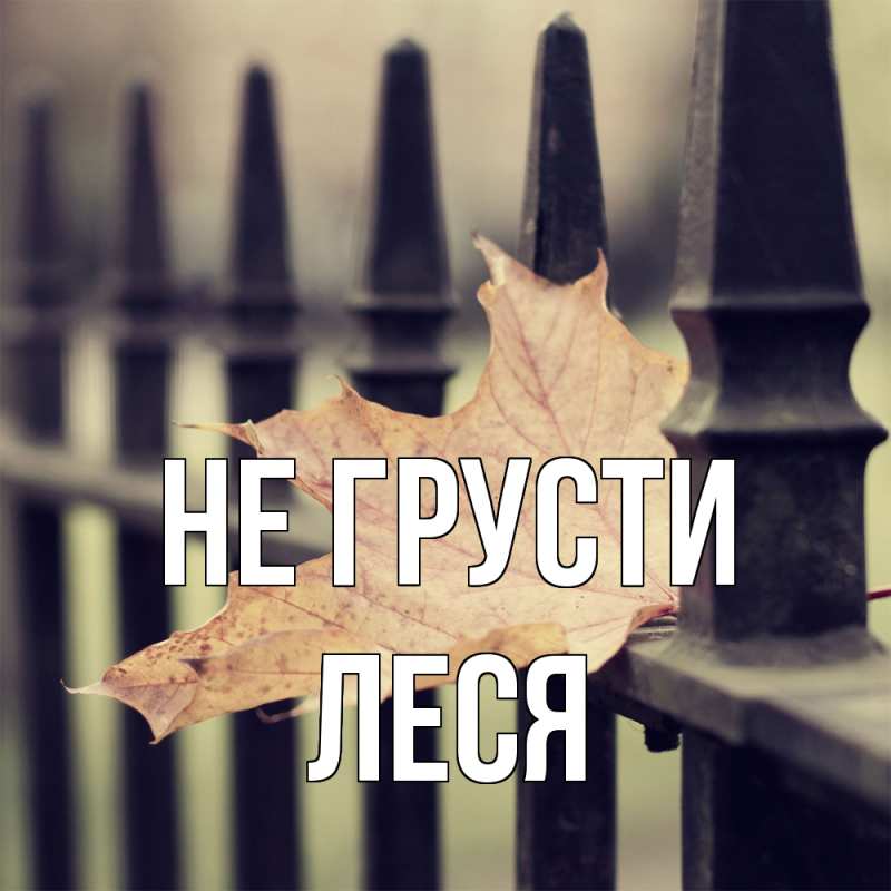 Картинка Не грусти, Леся