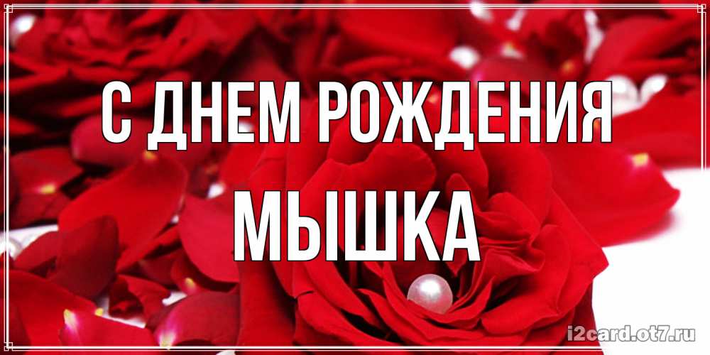 Открытка на каждый день с именем, Мышка С днем рождения роза с жемчужиной на открытке для любимых Прикольная открытка с пожеланием онлайн скачать бесплатно 