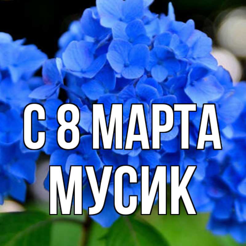 Картинка C 8 МАРТА, мусик