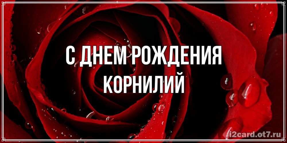 Открытка на каждый день с именем, Корнилий С днем рождения крупная бордовая роза Прикольная открытка с пожеланием онлайн скачать бесплатно 