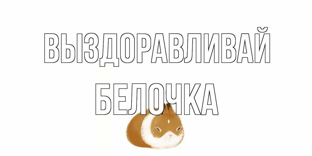 Открытка на каждый день с именем, Белочка Выздоравливай морская свинка на открытке с пожеланиями не болеть Прикольная открытка с пожеланием онлайн скачать бесплатно 