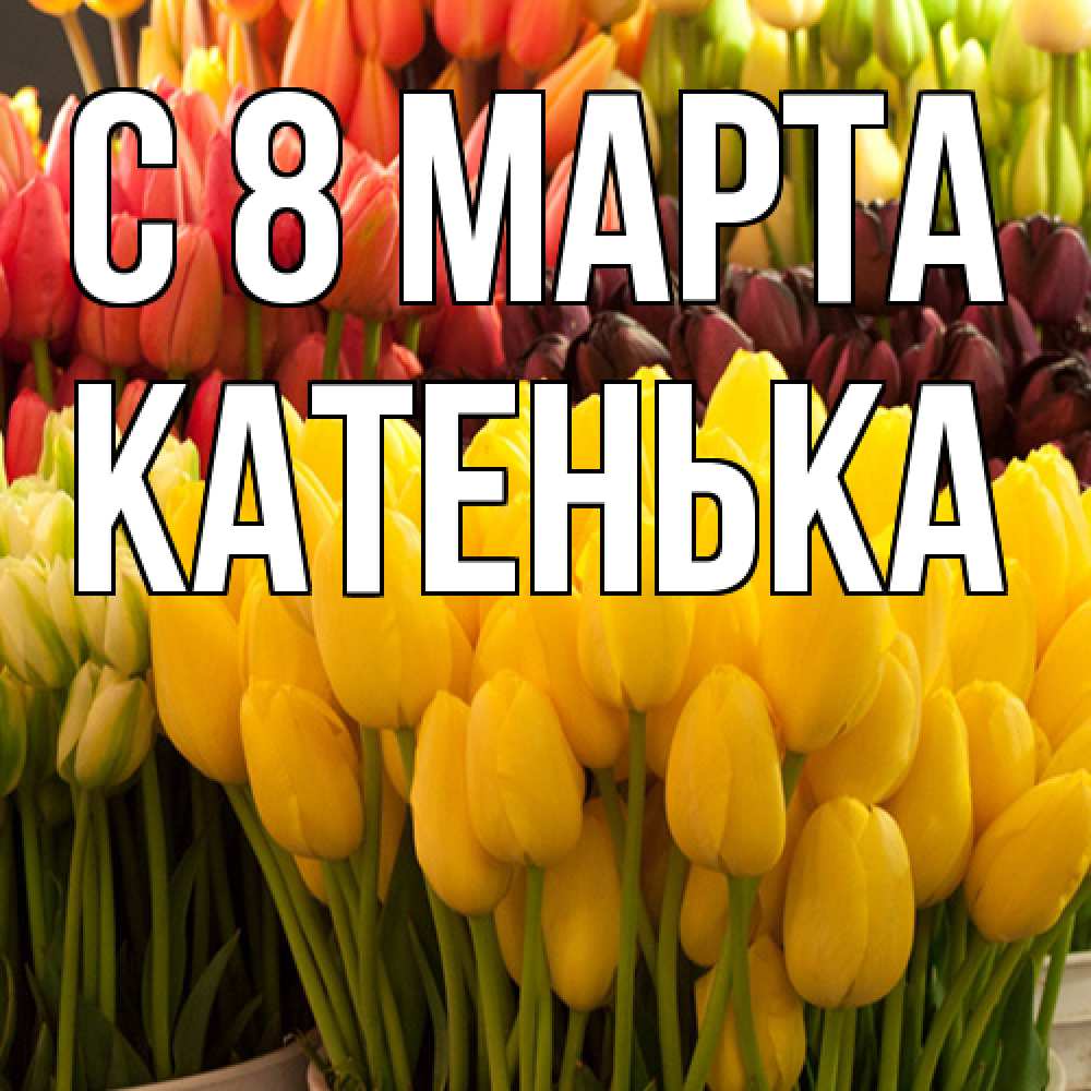 Открытка на каждый день с именем, Катенька C 8 МАРТА цветы Прикольная открытка с пожеланием онлайн скачать бесплатно 