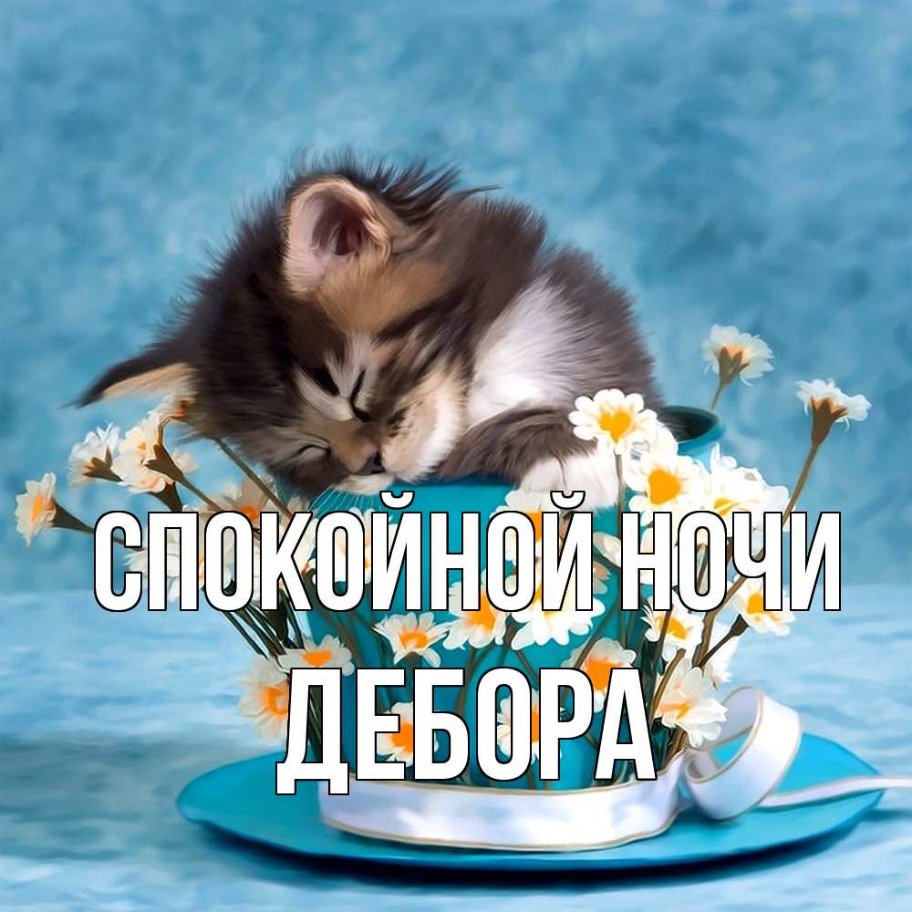 Открытка на каждый день с именем, Дебора Спокойной ночи котенок спит в кружке с блюдцем Прикольная открытка с пожеланием онлайн скачать бесплатно 