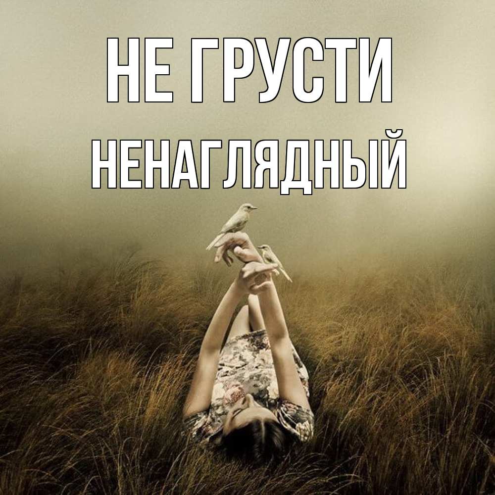 Открытка на каждый день с именем, Ненаглядный Не грусти поле и туман Прикольная открытка с пожеланием онлайн скачать бесплатно 