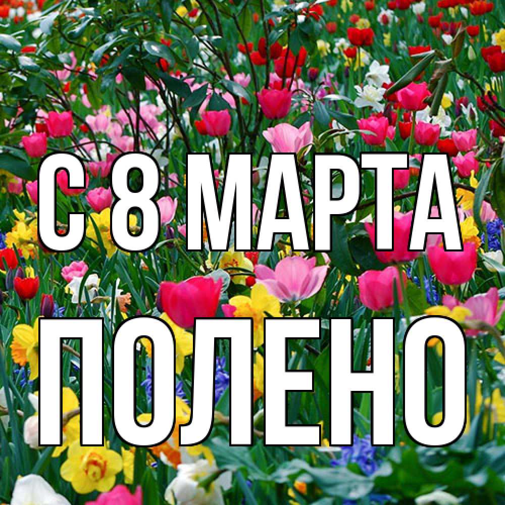 Открытка на каждый день с именем, Полено C 8 МАРТА с международным женским днем поздравления для женщины Прикольная открытка с пожеланием онлайн скачать бесплатно 