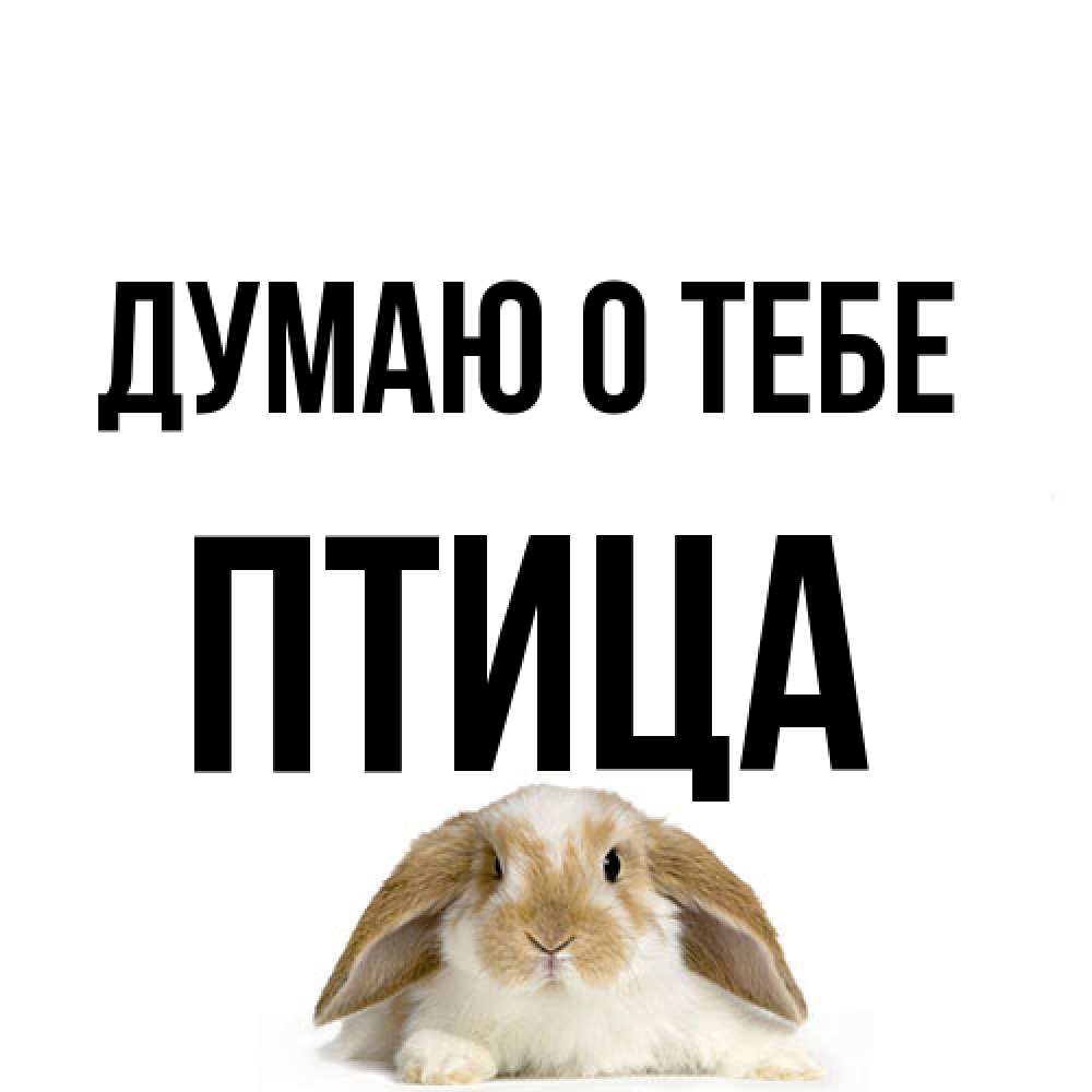 Открытка на каждый день с именем, Птица Думаю о тебе подписать своими руками онлайн Прикольная открытка с пожеланием онлайн скачать бесплатно 