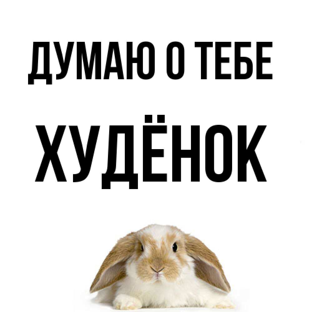 Открытка на каждый день с именем, худёнок Думаю о тебе подписать своими руками онлайн Прикольная открытка с пожеланием онлайн скачать бесплатно 