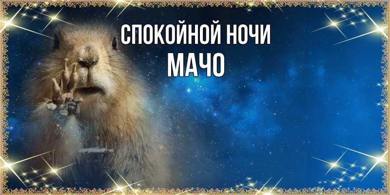 Картинка Спокойной ночи, Мачо