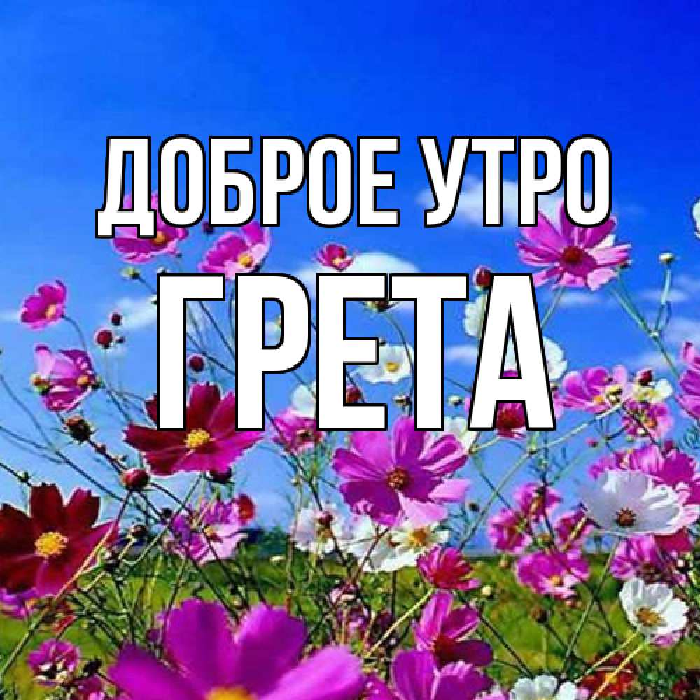 Открытка на каждый день с именем, Грета Доброе утро сиреневые цветы Прикольная открытка с пожеланием онлайн скачать бесплатно 
