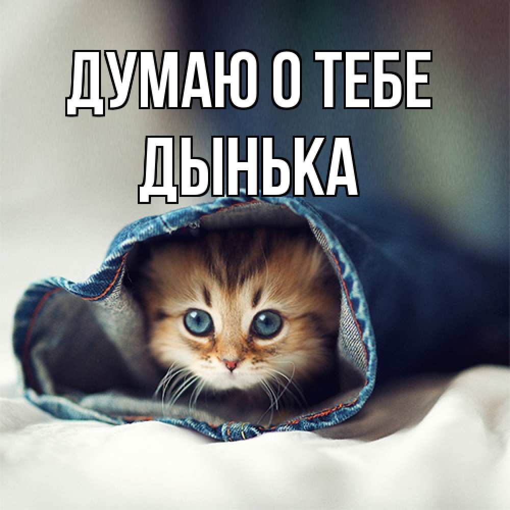 Открытка на каждый день с именем, Дынька Думаю о тебе мне без тебя плохо Прикольная открытка с пожеланием онлайн скачать бесплатно 