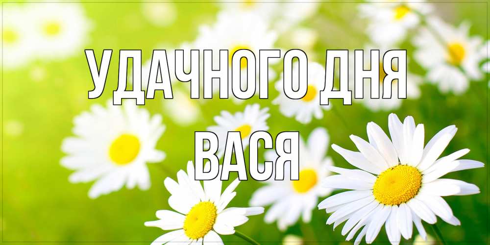 Открытка на каждый день с именем, Вася Удачного дня открытка с ромашками на зеленом фоне Прикольная открытка с пожеланием онлайн скачать бесплатно 