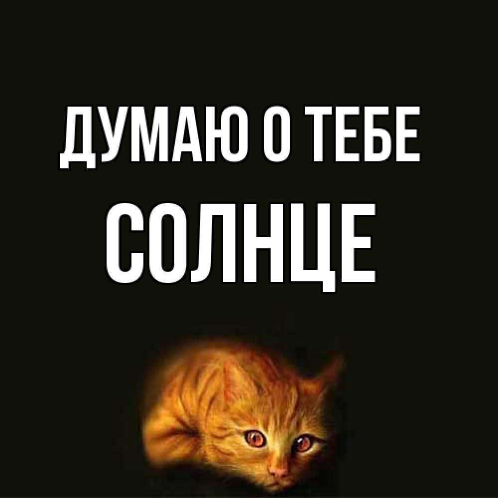 Открытка на каждый день с именем, солнце Думаю о тебе рыжий Прикольная открытка с пожеланием онлайн скачать бесплатно 