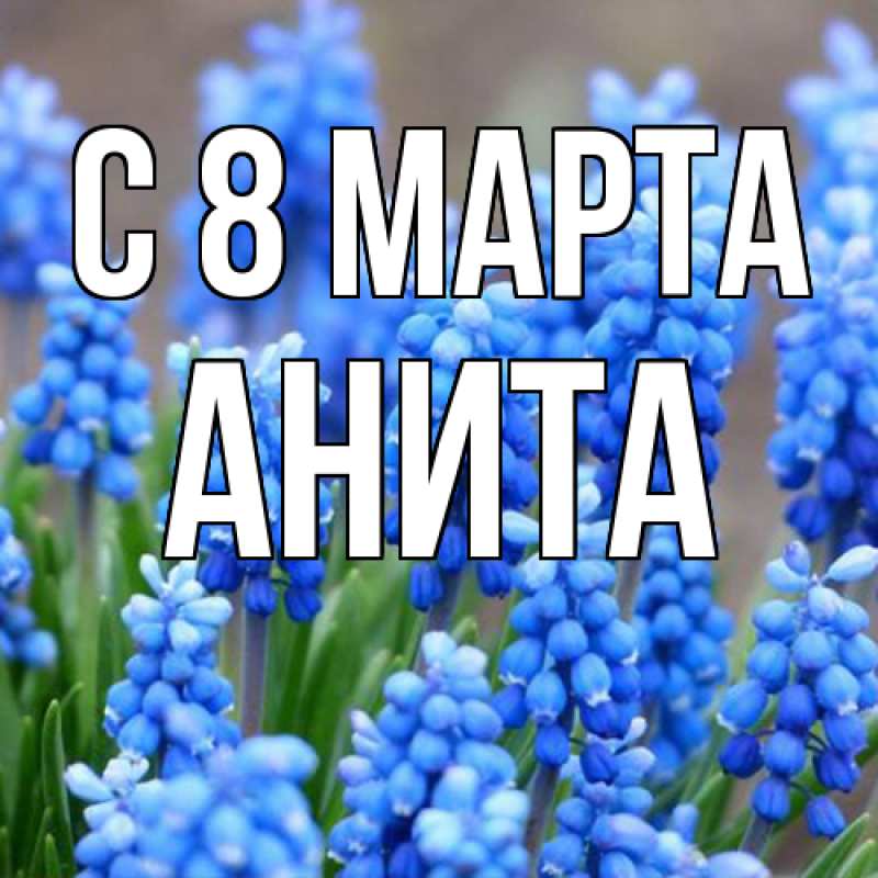 Картинка C 8 МАРТА, Анита