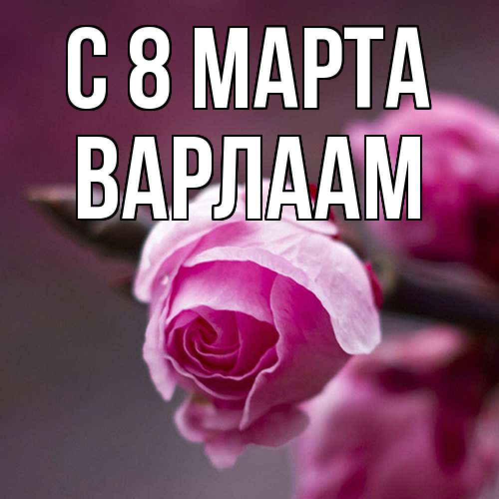 Открытка на каждый день с именем, Варлаам C 8 МАРТА весна Прикольная открытка с пожеланием онлайн скачать бесплатно 