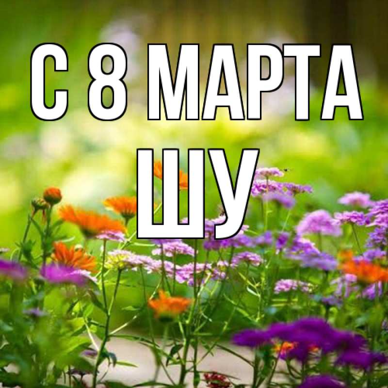 Картинка C 8 МАРТА, Шу