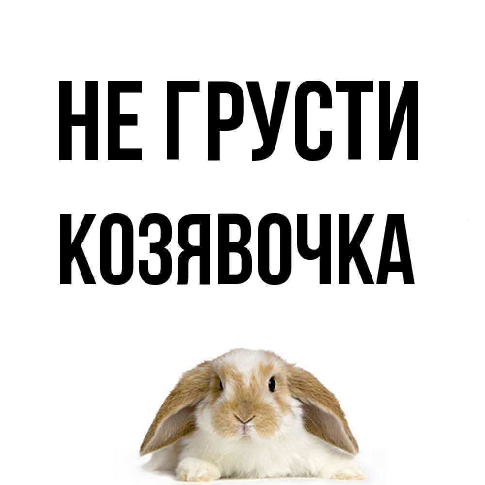 Открытка на каждый день с именем, Козявочка Не грусти коричнево белый заяц с большими ушками Прикольная открытка с пожеланием онлайн скачать бесплатно 