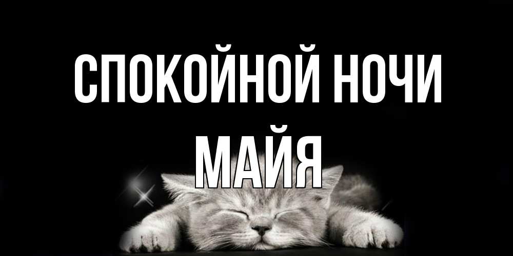 Открытка на каждый день с именем, Майя Спокойной ночи спящий котик Прикольная открытка с пожеланием онлайн скачать бесплатно 