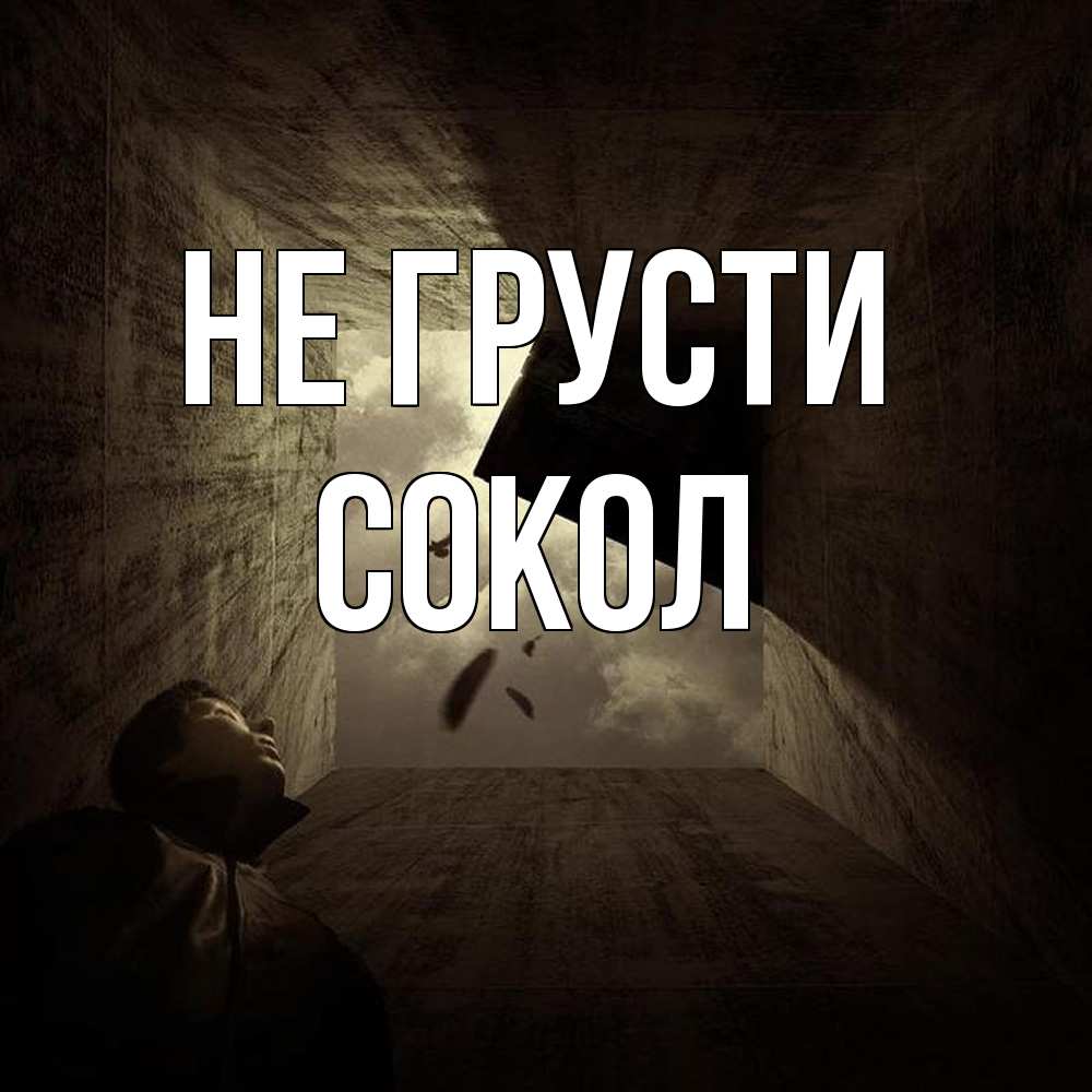 Открытка на каждый день с именем, Сокол Не грусти жуть Прикольная открытка с пожеланием онлайн скачать бесплатно 